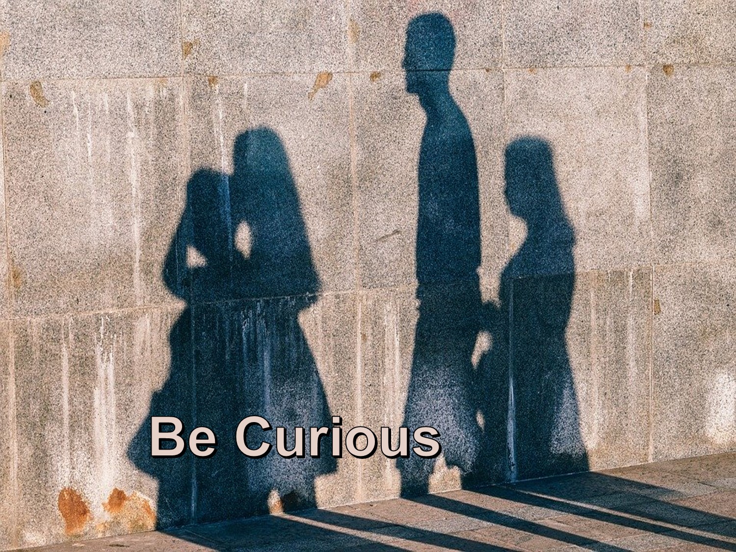 dcc-be-curious.2019.jpg