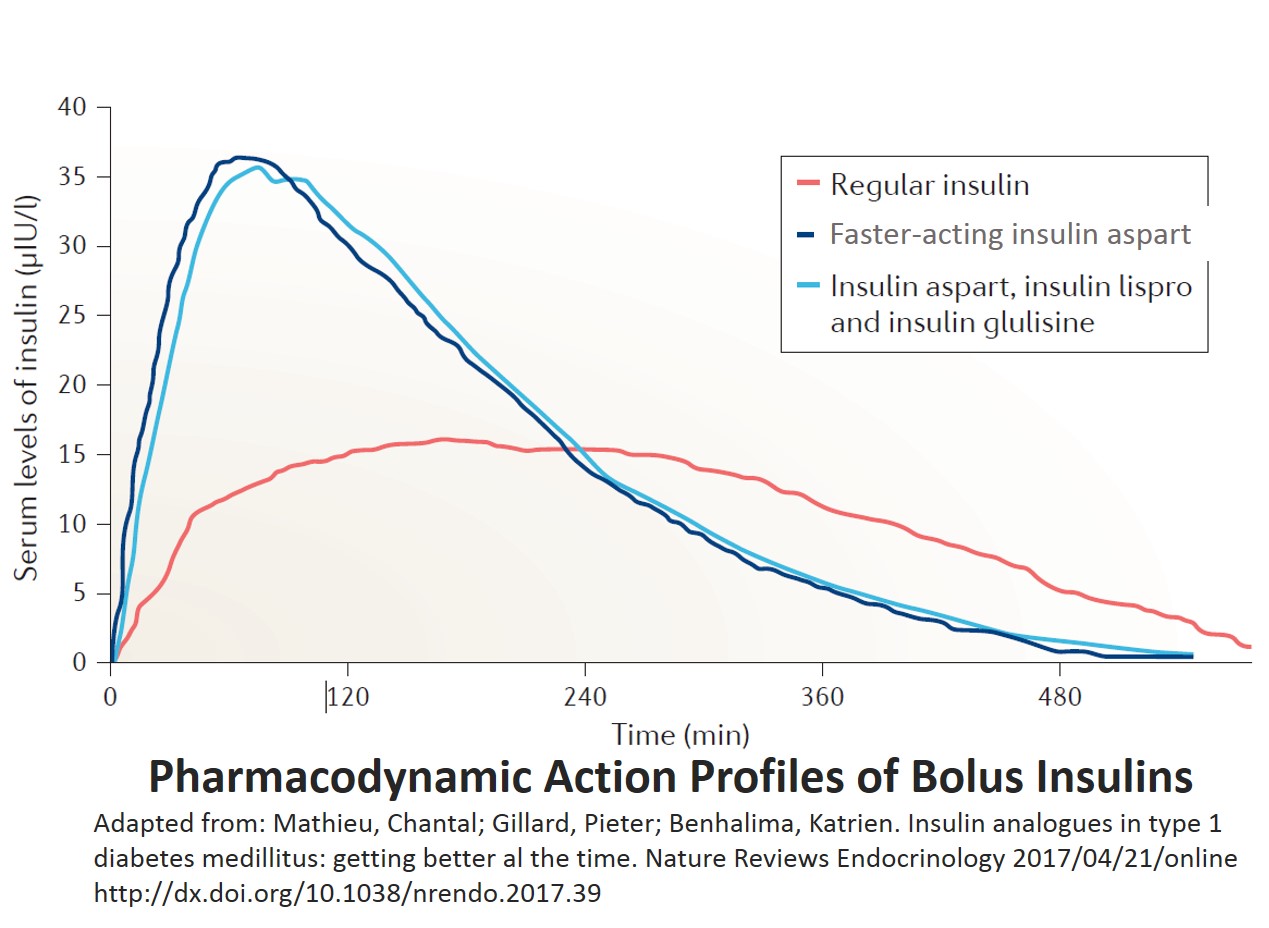 Pharmacodynamic action bolus insulins