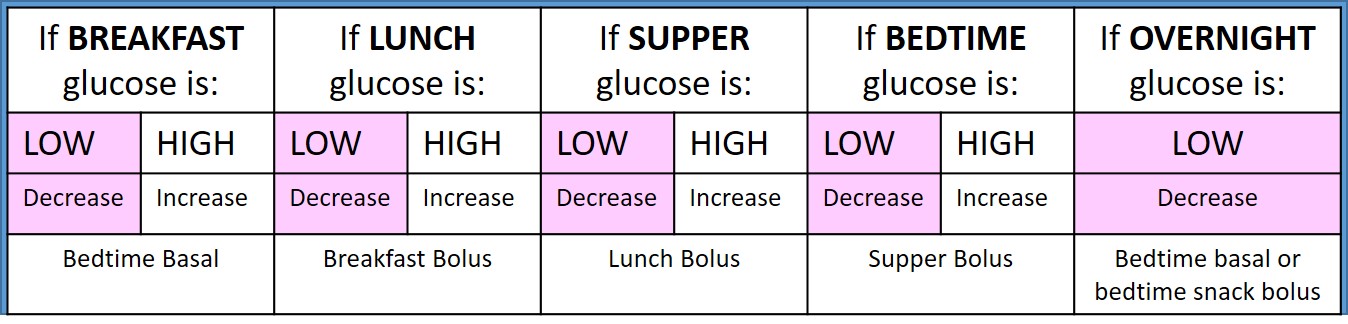 insulin titration